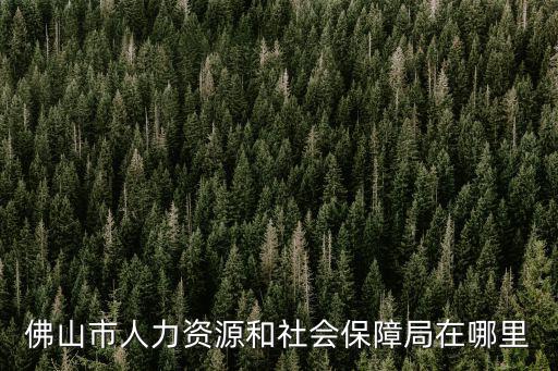 佛山市人力資源和社會(huì)保障局在哪里