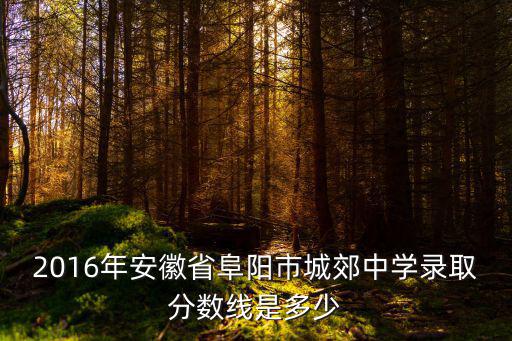 2016年安徽省阜陽市城郊中學(xué)錄取分?jǐn)?shù)線是多少