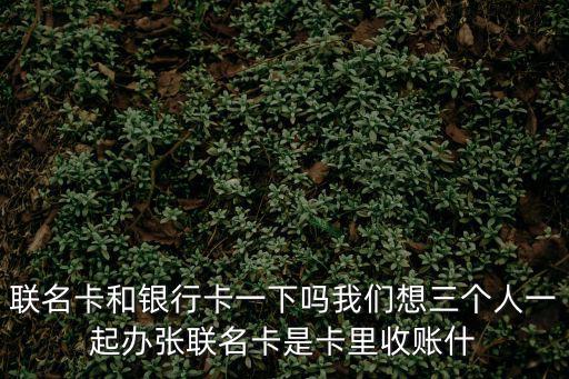 聯(lián)名卡和銀行卡一下嗎我們想三個(gè)人一起辦張聯(lián)名卡是卡里收賬什