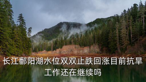 長(zhǎng)江水位公告今天11點(diǎn)，長(zhǎng)江水位公告