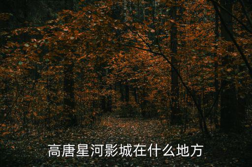 星河影院，高唐星河影城在什么地方