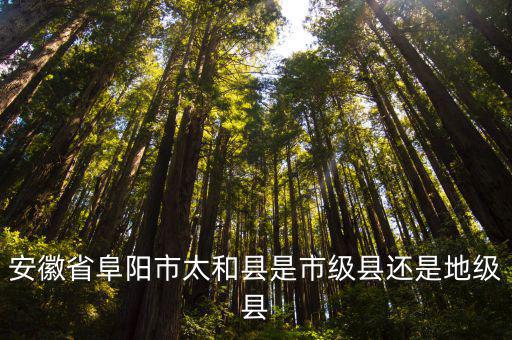 安徽省阜陽(yáng)市太和縣是市級(jí)縣還是地級(jí)縣