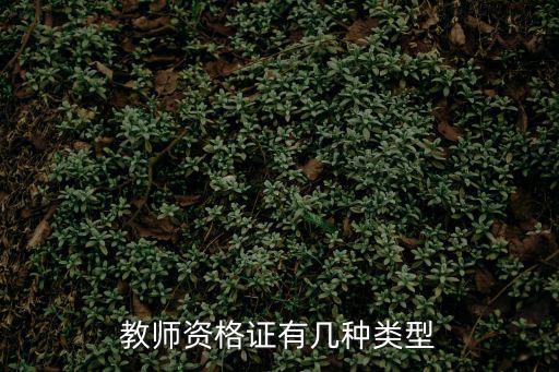 教師資格證有幾種類(lèi)型