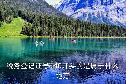 稅務(wù)登記證號440開頭的是屬于什么地方