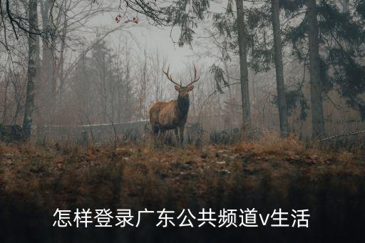 怎樣登錄廣東公共頻道v生活