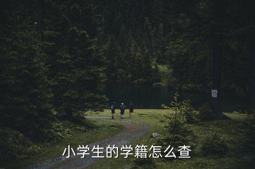 小學生的學籍怎么查