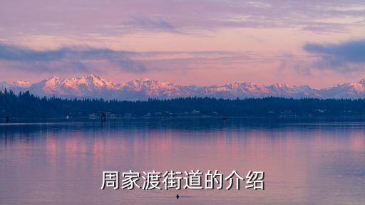 周家渡街道的介紹