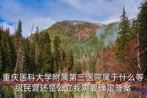 重慶醫(yī)科大學(xué)附屬第三醫(yī)院屬于什么等級民營還是公立我需要確定答案