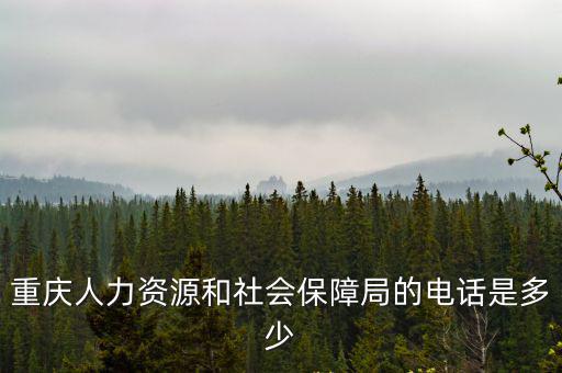 重慶人力資源和社會保障局的電話是多少
