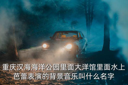 漢海海洋公園，武漢海洋公園