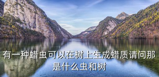 有一種蠟蟲可以在樹上生成蠟質請問那是什么蟲和樹