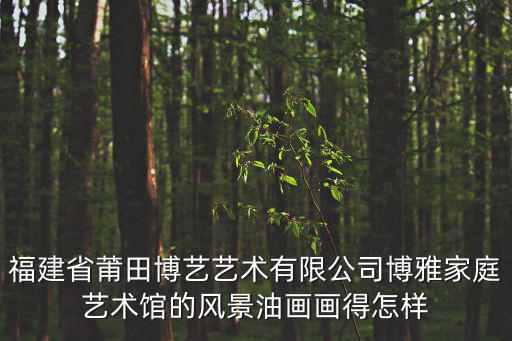 福建省莆田博藝藝術有限公司博雅家庭藝術館的風景油畫畫得怎樣