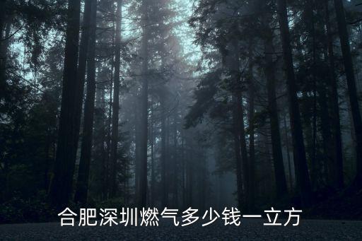 合肥深圳燃?xì)舛嗌馘X一立方