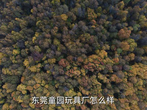 東莞童園玩具廠怎么樣