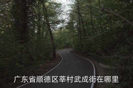 廣東省順德區(qū)莘村武成街在哪里
