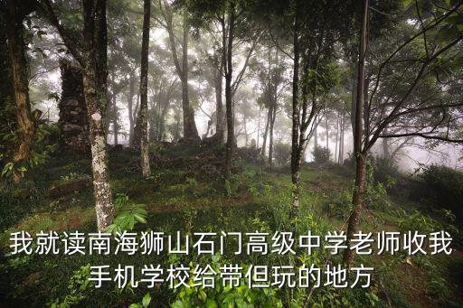 我就讀南海獅山石門高級中學老師收我手機學校給帶但玩的地方