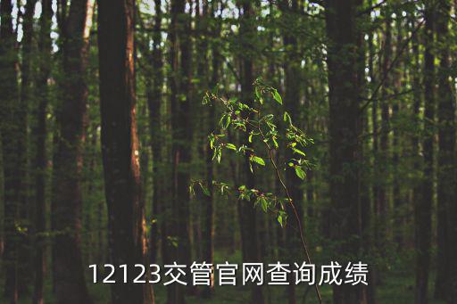 12123交管官網查詢成績