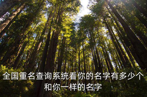 全國重名查詢系統看你的名字有多少個和你一樣的名字