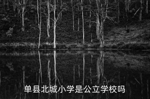 北城小學，番禺 北城小學和南陽里小學 哪里好