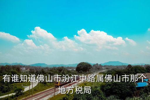 佛山市稅務局，誰能告訴我佛山市地方稅務局的辦稅大廳在那個地方