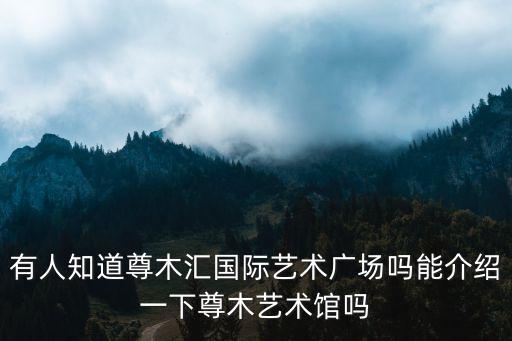 有人知道尊木匯國際藝術(shù)廣場嗎能介紹一下尊木藝術(shù)館嗎
