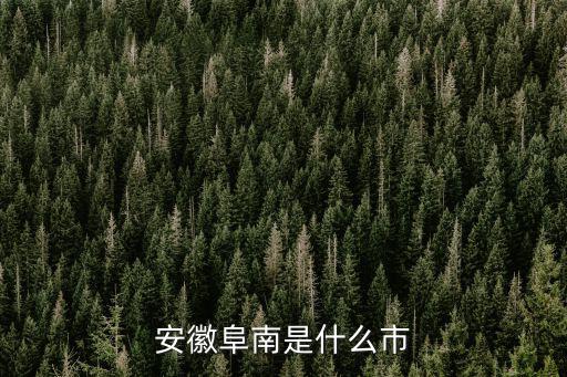 安徽阜南是什么市