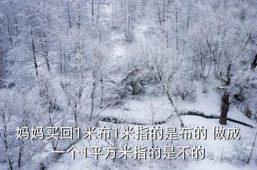 米布兒，媽媽買回1米布1米指的是布的 做成一個1平方米指的是不的
