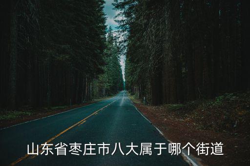 山東省棗莊市八大屬于哪個(gè)街道