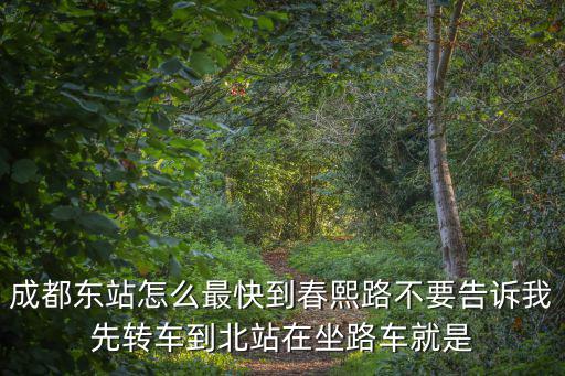 成都東站到春熙路，成都火車東站到春熙路坐幾路公交