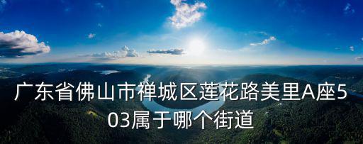 廣東省佛山市禪城區蓮花路美里A座503屬于哪個街道