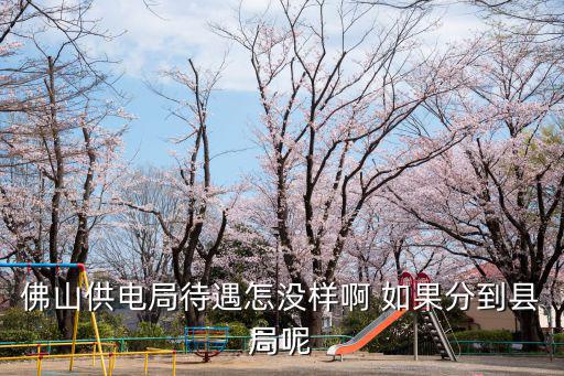 佛山供電局，佛山供電局待遇怎沒樣啊 如果分到縣局呢