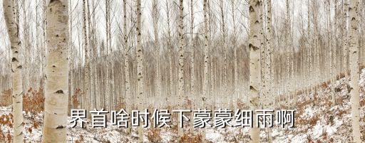 界首啥時候下蒙蒙細雨啊