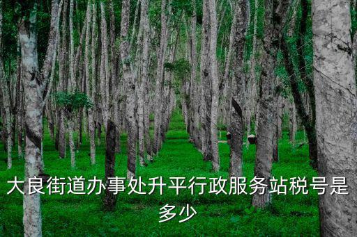 大良街道辦事處升平行政服務站稅號是多少