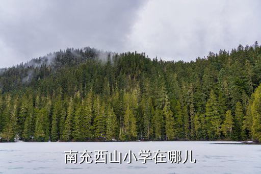 南充西山小學(xué)在哪兒