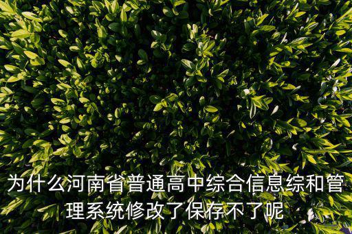 為什么河南省普通高中綜合信息綜和管理系統修改了保存不了呢