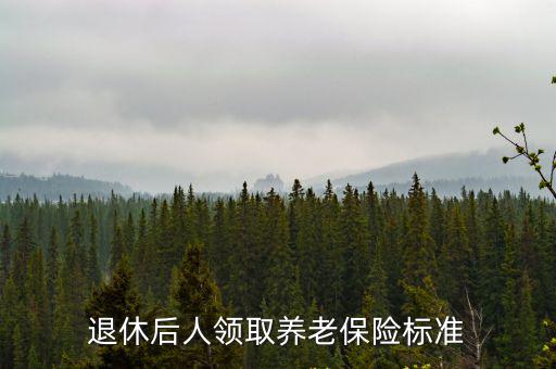 退休后人領(lǐng)取養(yǎng)老保險標準