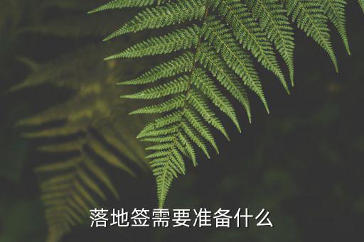 落地簽證怎么辦理，落地簽需要準備什么