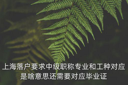 上海落戶要求中級職稱專業和工種對應是啥意思還需要對應畢業證