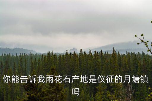 月塘鎮(zhèn)，你能告訴我雨花石產(chǎn)地是儀征的月塘鎮(zhèn)嗎