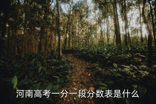 河南高考一分一段分?jǐn)?shù)表是什么