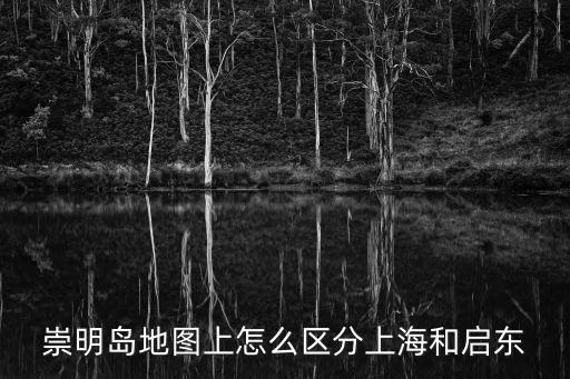 崇明島地圖，崇明島完全屬于上海嗎仔細看地圖好象上邊有一小部分屬于江蘇  搜
