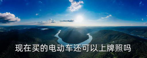 現在買的電動車還可以上牌照嗎