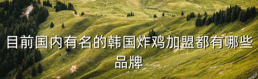 目前國內(nèi)有名的韓國炸雞加盟都有哪些品牌