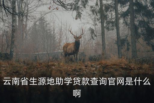 云南省生源地助學貸款查詢官網是什么啊