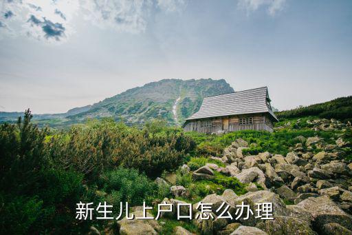 新生兒上戶(hù)口怎么辦理