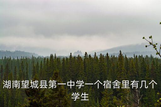 湖南望城縣第一中學(xué)一個(gè)宿舍里有幾個(gè)學(xué)生