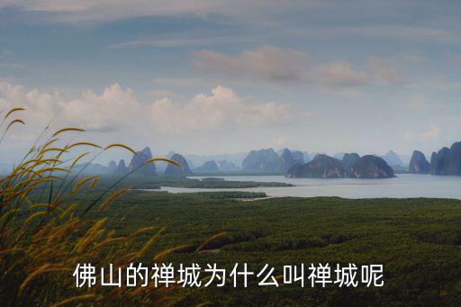 禪城，禪城在哪里啊