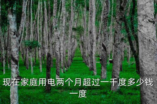 現(xiàn)在家庭用電兩個月超過一千度多少錢一度