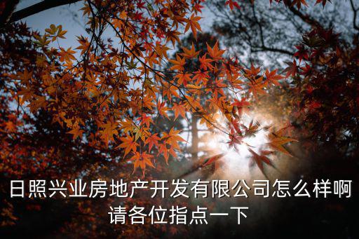 日照興業房地產開發有限公司怎么樣啊請各位指點一下