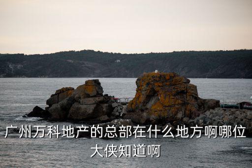 廣州萬科地產的總部在什么地方啊哪位大俠知道啊